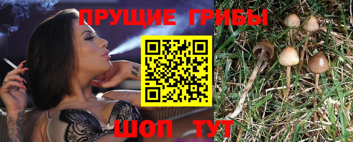 Галлюциногенные грибы Magic Shrooms Мыски