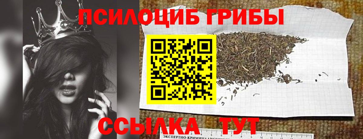 Мыски  купить наркоту  Псилоцибиновые грибы Cubensis  Вход с VPN  Псилоцибиновые грибы MAGIC MUSHROOMS 